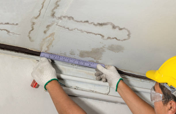 Reliable Water Damage Repair contractor in Greenwood, PA by Hirex Water Damage